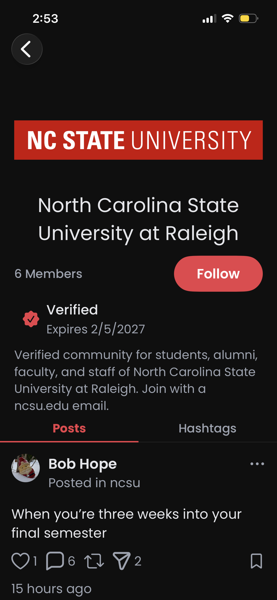 Looped community feed screenshot