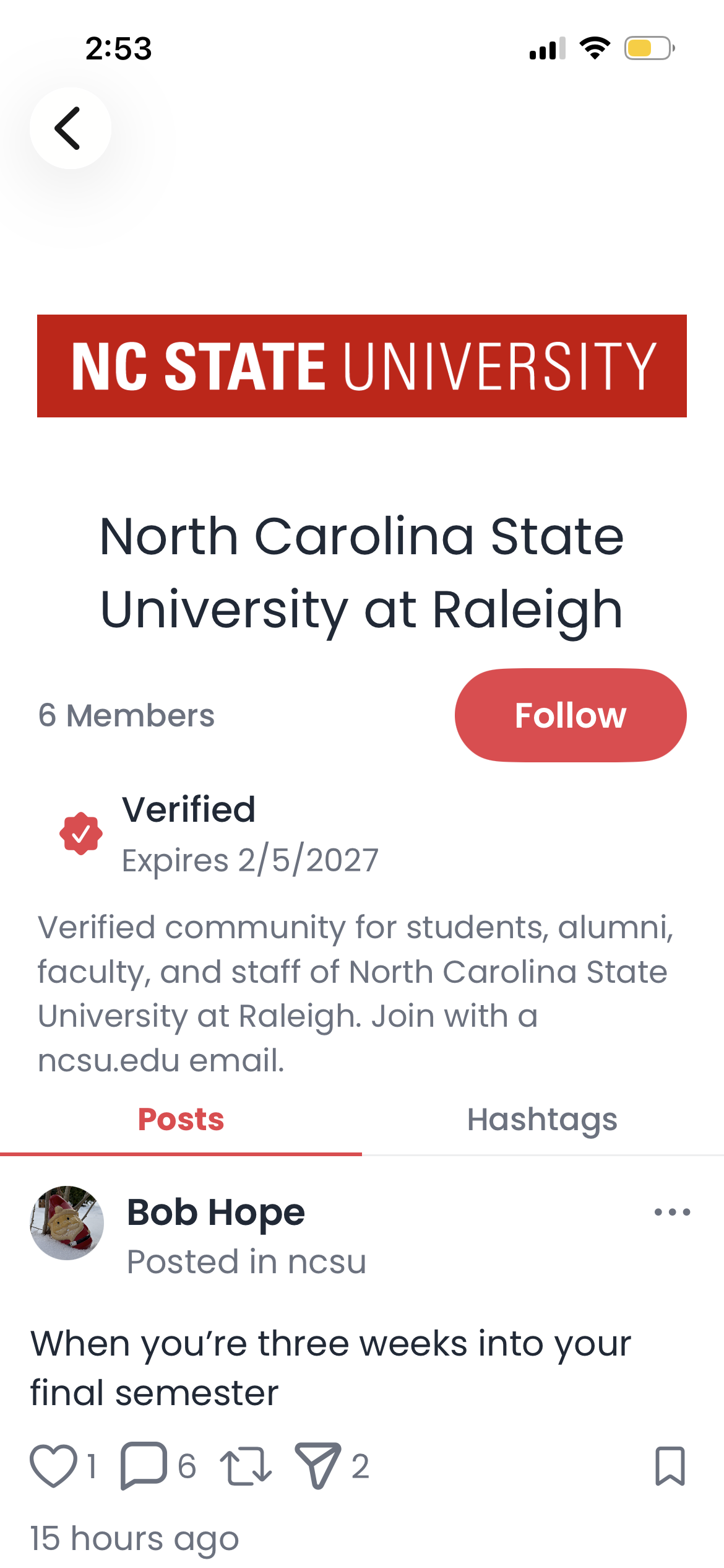 Looped community feed screenshot