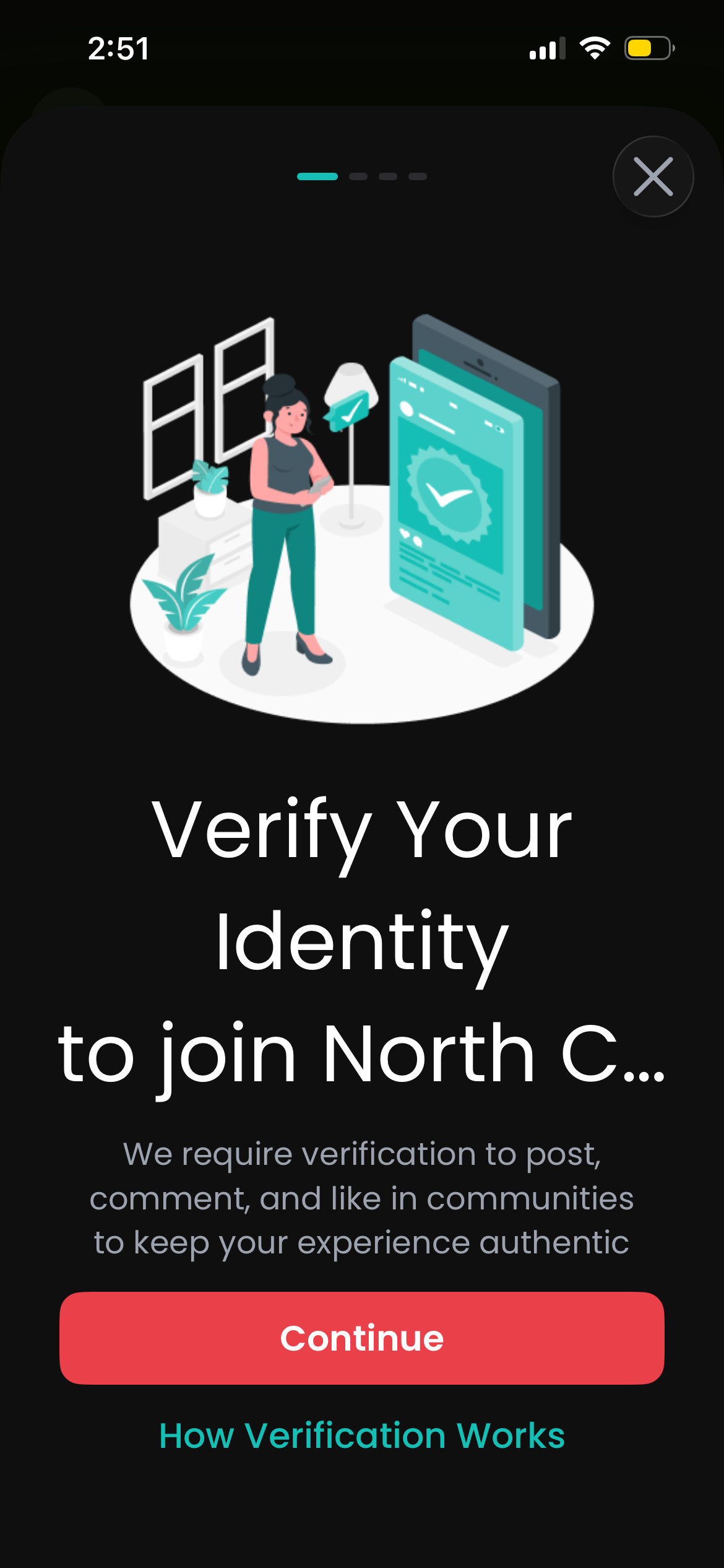 Looped verification screenshot