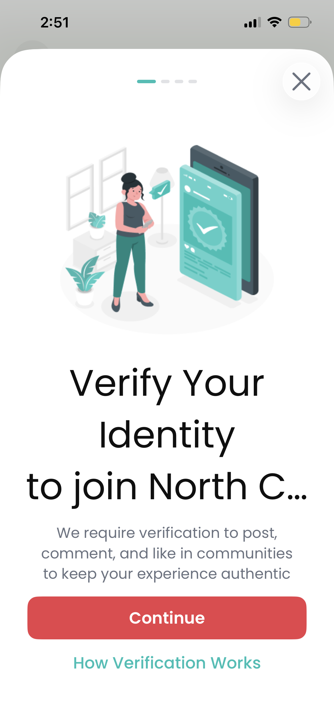 Looped verification screenshot